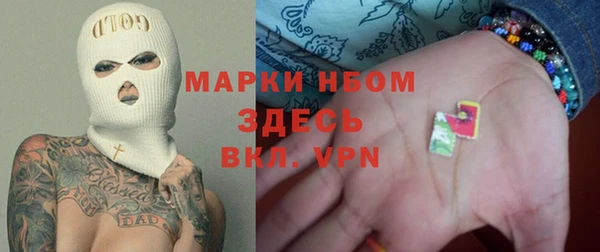 ПСИЛОЦИБИНОВЫЕ ГРИБЫ Арсеньев
