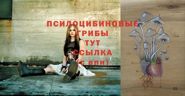 мет Аркадак