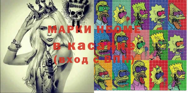 ПСИЛОЦИБИНОВЫЕ ГРИБЫ Арсеньев