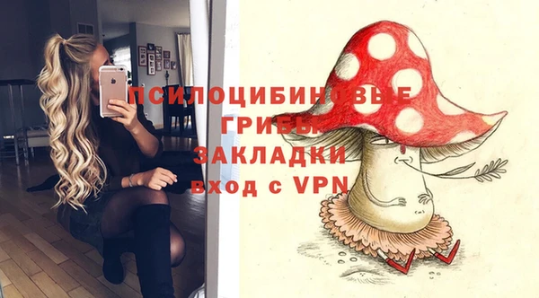 мет Аркадак